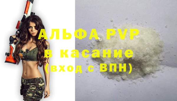 дмт Бикин