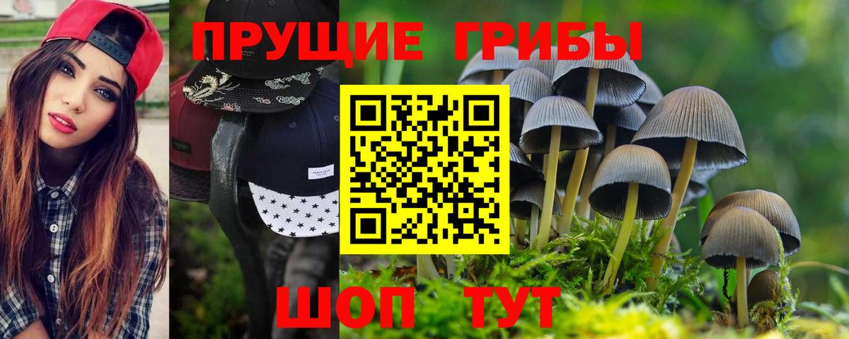 цены наркотик  Вход с VPN  Луга  Псилоцибиновые грибы Psilocybine cubensis 