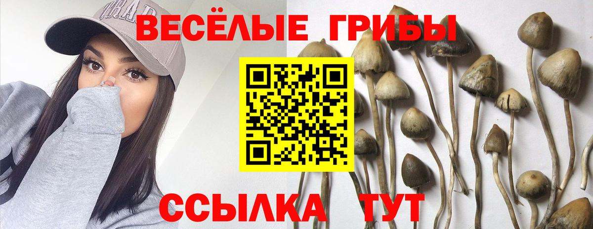 Галлюциногенные грибы ЛСД Луга